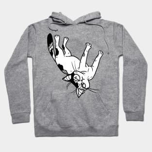 white & tortie girl judgy cat Hoodie